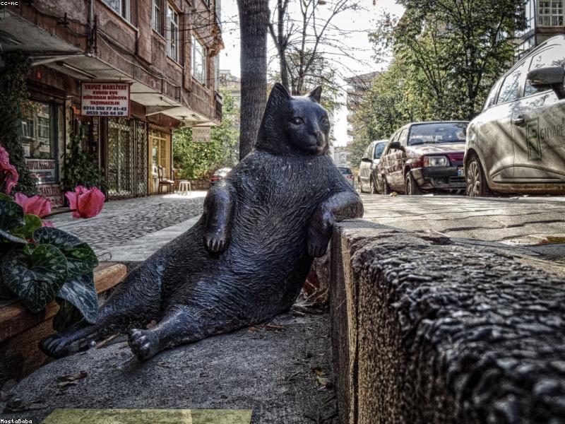 Adventure Collar — Amber Canvas