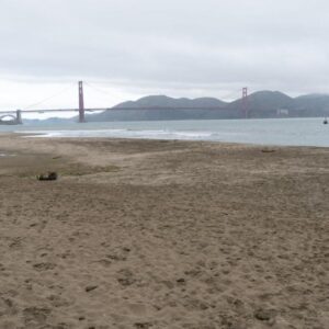 Basecamp Travel Water Bottle