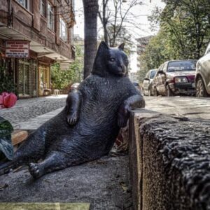 Kennel Road Mat — Washable