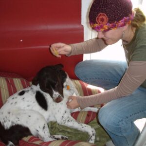 Peanut Butter Oat Biscuits