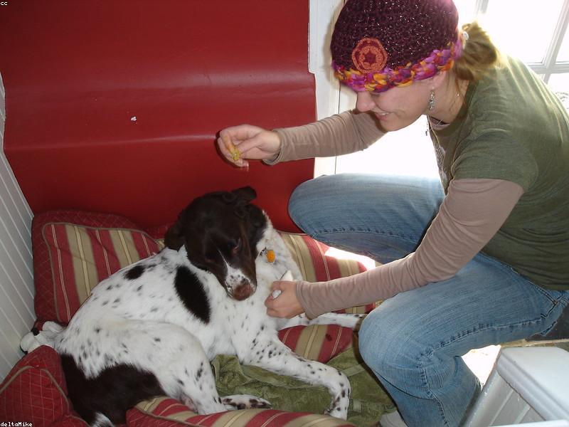 Peanut Butter Oat Biscuits