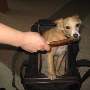 Bully Stick Bundle — 6 inch (pack of 5)